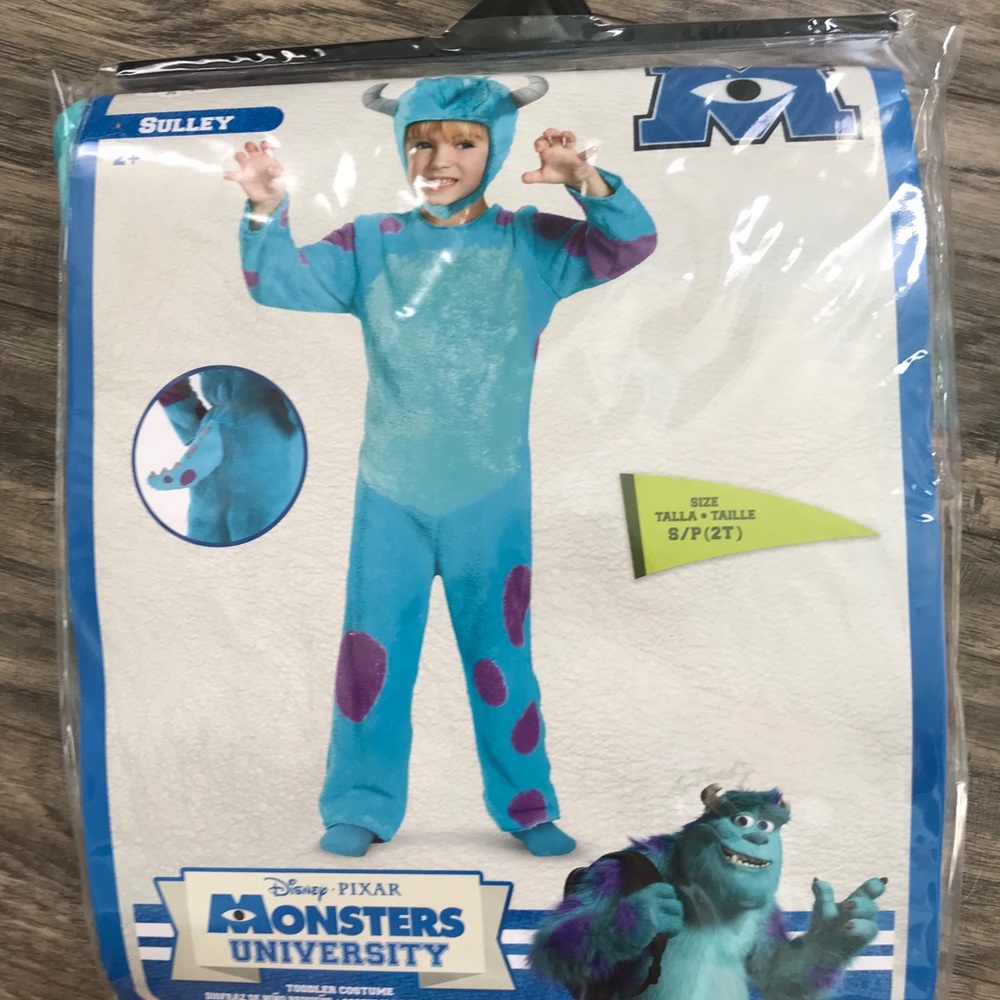 Sully or Sullivan from Monster Inc